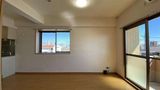 ラホヤハナクマ