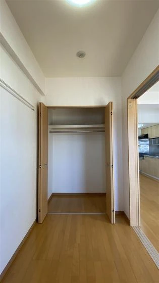 ラホヤハナクマ