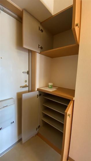 ラホヤハナクマ