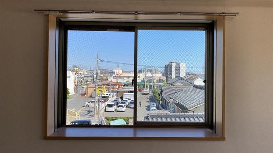 ラホヤハナクマ