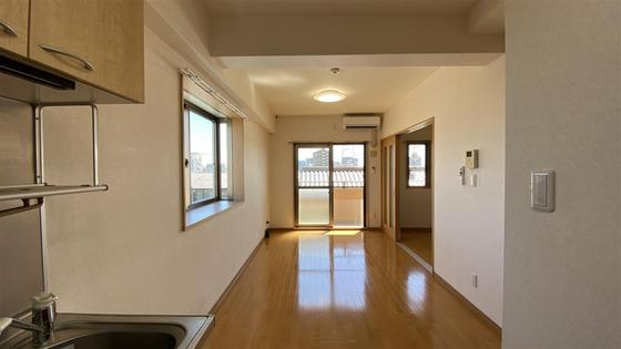 ラホヤハナクマ