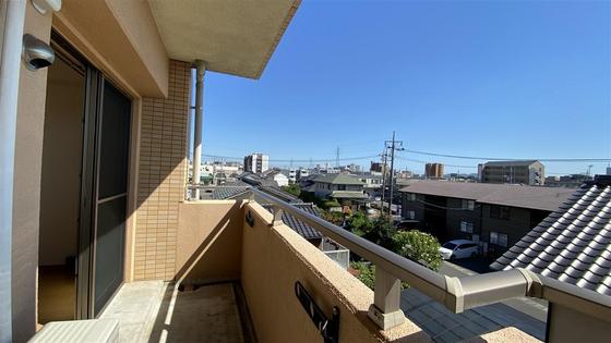 ラホヤハナクマ