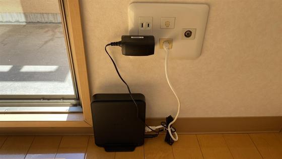 ラホヤハナクマ