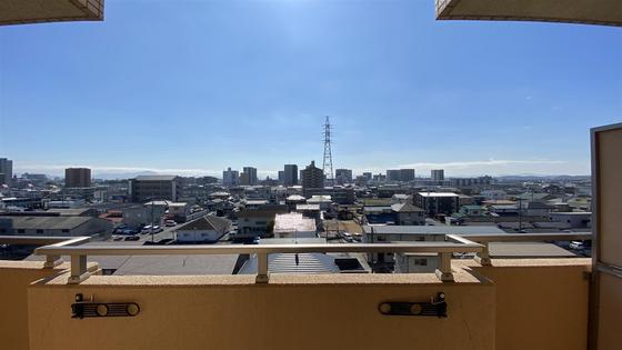 ラホヤハナクマ