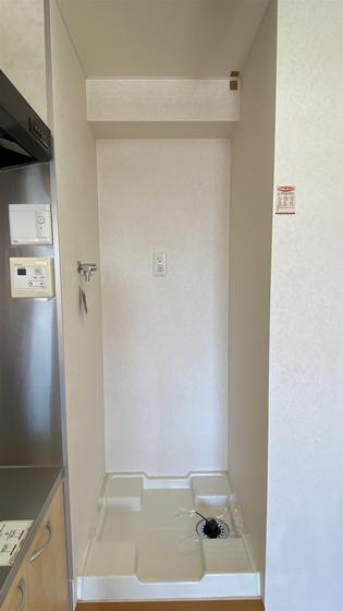 ラホヤハナクマ