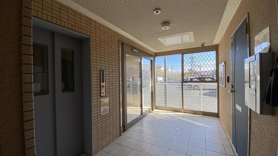 ラホヤハナクマ