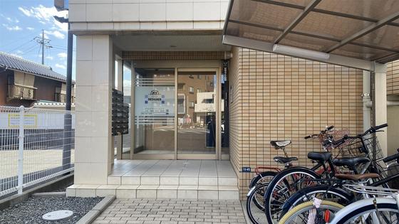 ラホヤハナクマ