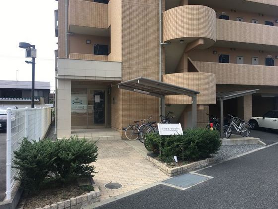 ラホヤハナクマ