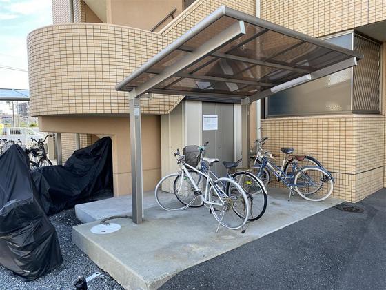 ラホヤハナクマ