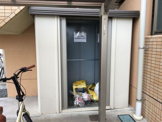 ラホヤハナクマ