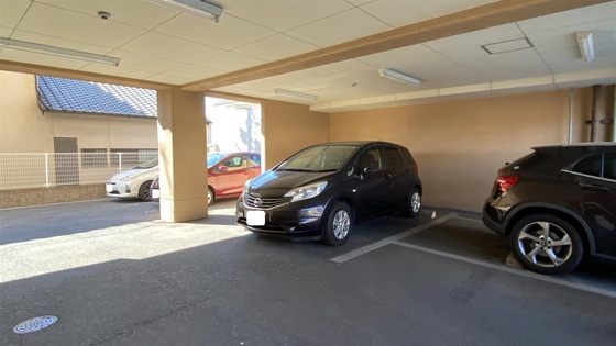 ラホヤハナクマ