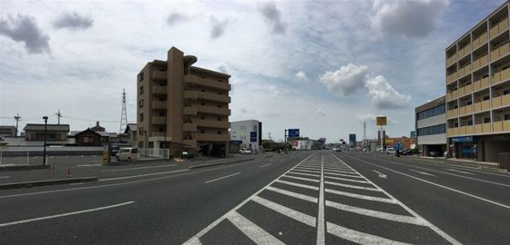 ラホヤハナクマ