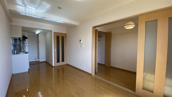 ラホヤハナクマ