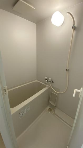 ラホヤハナクマ