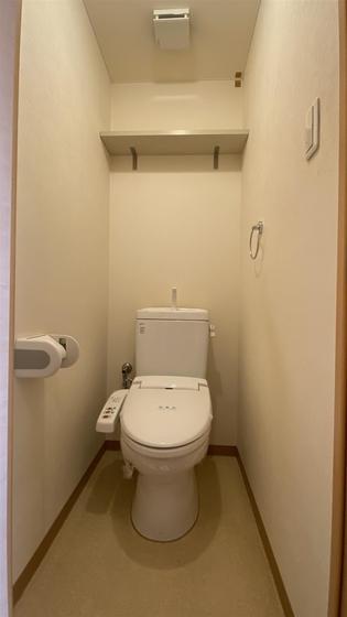 ラホヤハナクマ