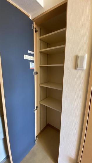 ラホヤハナクマ