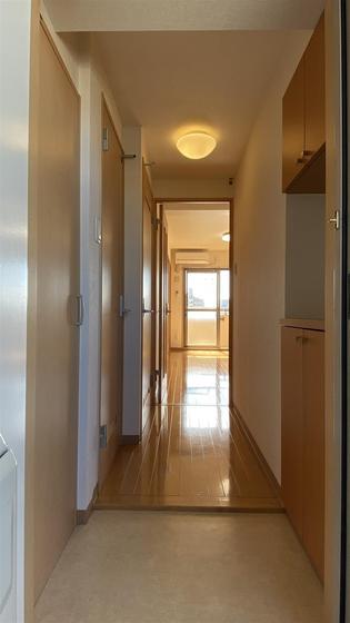 ラホヤハナクマ