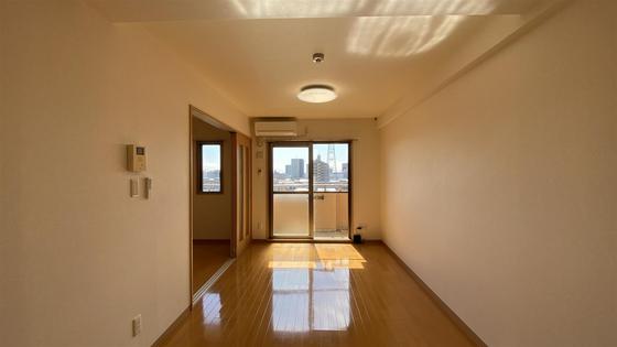 ラホヤハナクマ