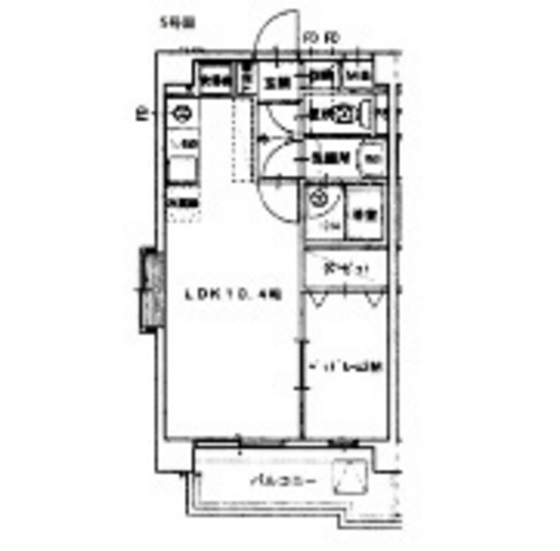 ラホヤハナクマ