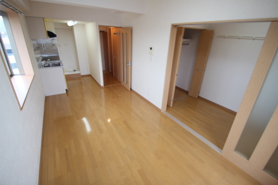 ラホヤハナクマ