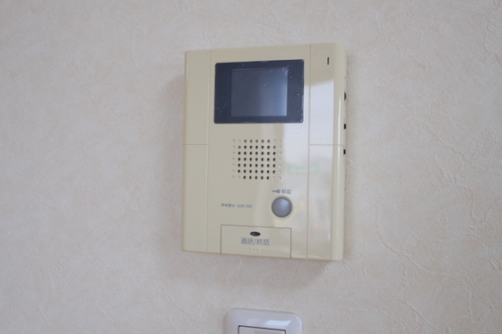 ラホヤハナクマ