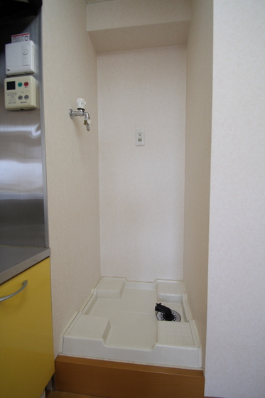 ラホヤハナクマ