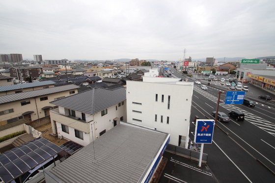 ラホヤハナクマ