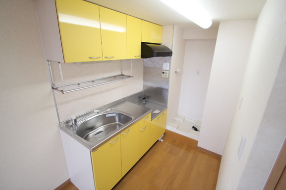 ラホヤハナクマ