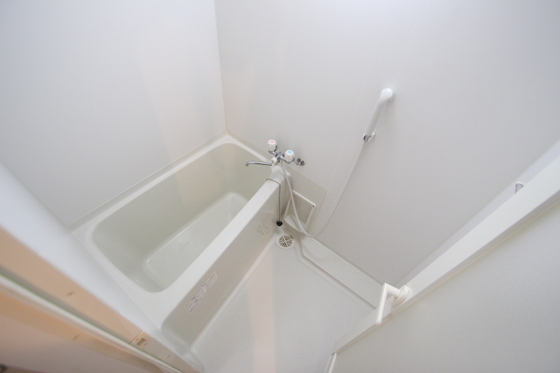 ラホヤハナクマ