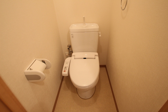 ラホヤハナクマ