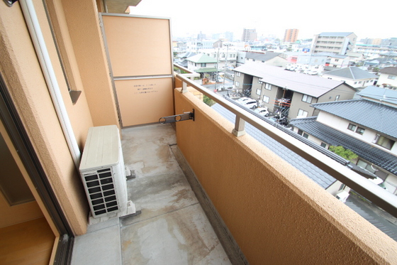 ラホヤハナクマ