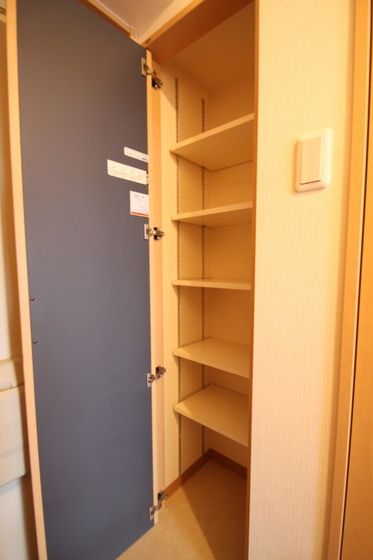 ラホヤハナクマ