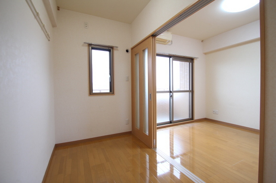 ラホヤハナクマ