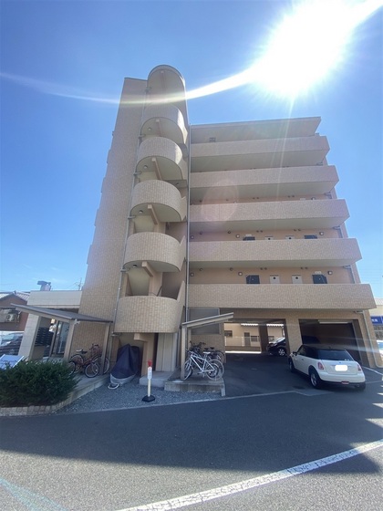 ラホヤハナクマ