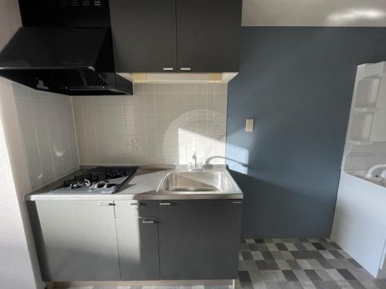 WELLNESSハレルヤ