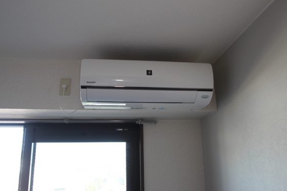 WELLNESSハレルヤ