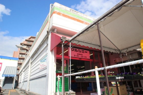 CASA COZY コイン通り(カーサコージー)