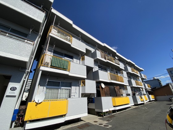 南観音プラウズ