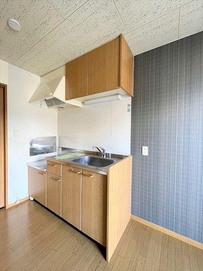 コスモス・インハイツ B