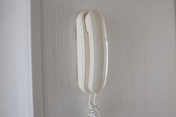 コスモス・インハイツ B