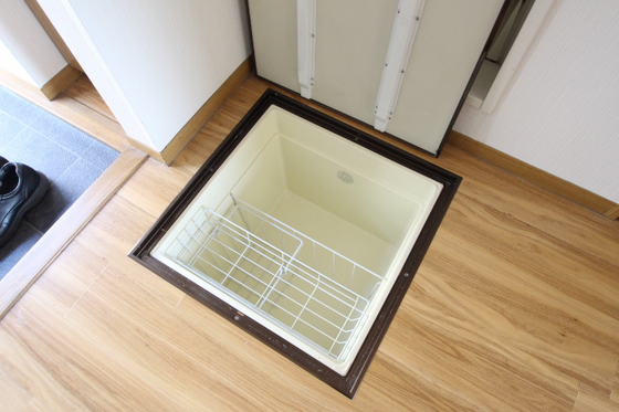 コスモス・インハイツ B