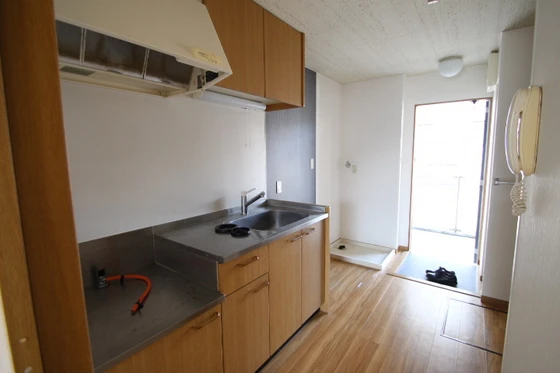 コスモス・インハイツ B