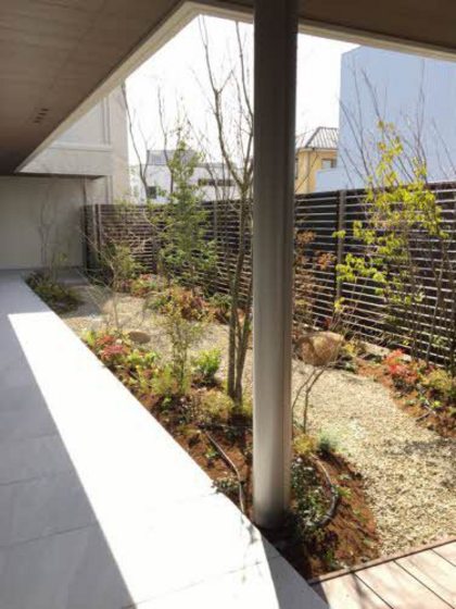 グレースセゾン 樹