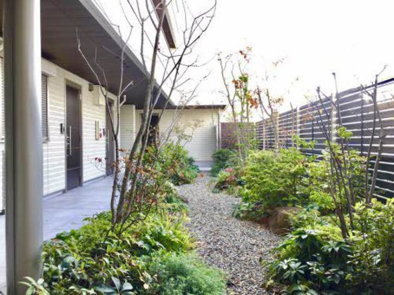 グレースセゾン 樹