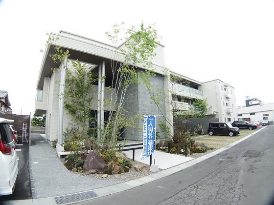 グレースセゾン 樹