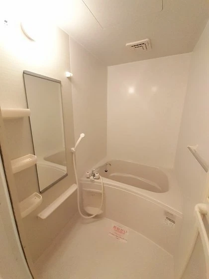 ポム・ド・テール