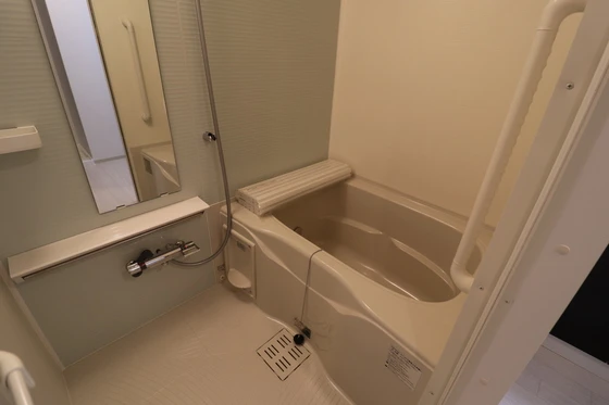 ルミナス・ステラ