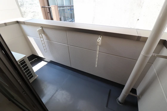 ルミナス・ステラ