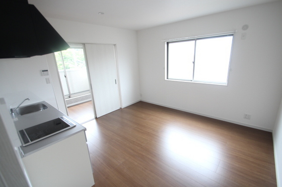 ロイヤルヴィラ向洋