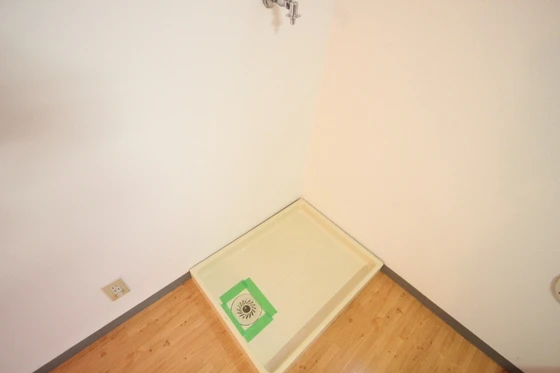 チェリータケタ